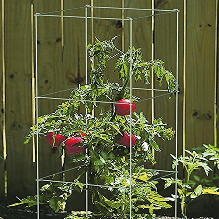A black galvanized steel folding tomato cage with a square opening